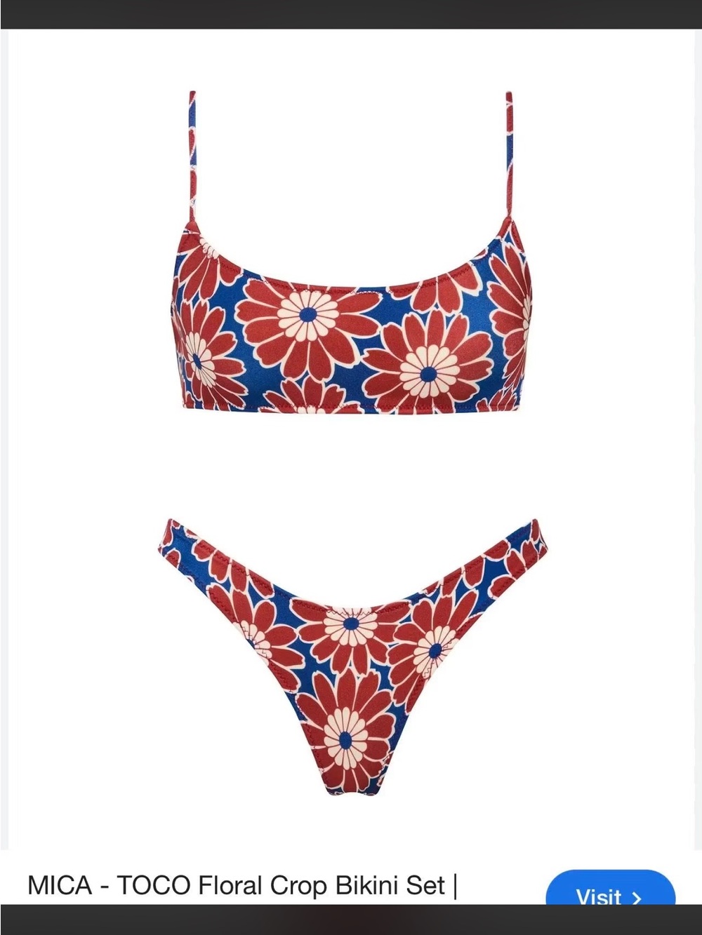 Triangl bikini, Red, Blue & White Floral Crop Bikini Set- MICA